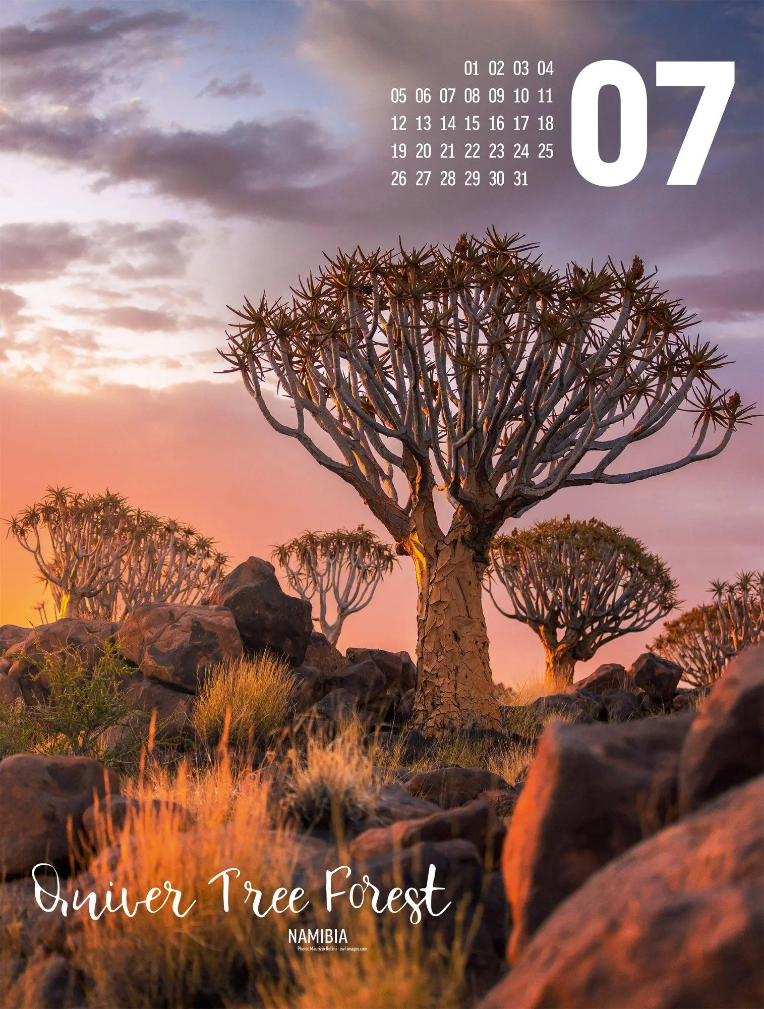 Bild: 9783838427591 | Wonderful World Kalender 2027 | Ackermann Kunstverlag GmbH | Kalender