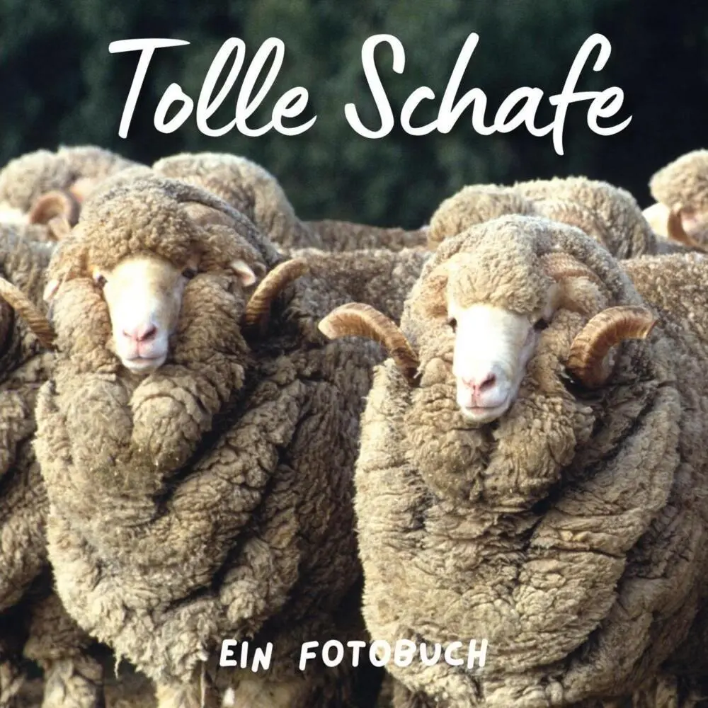 Cover: 9783750517691 | Tolle Schafe | Ein Fotobuch. Das perfekte Geschenk | Bibi Hübsch