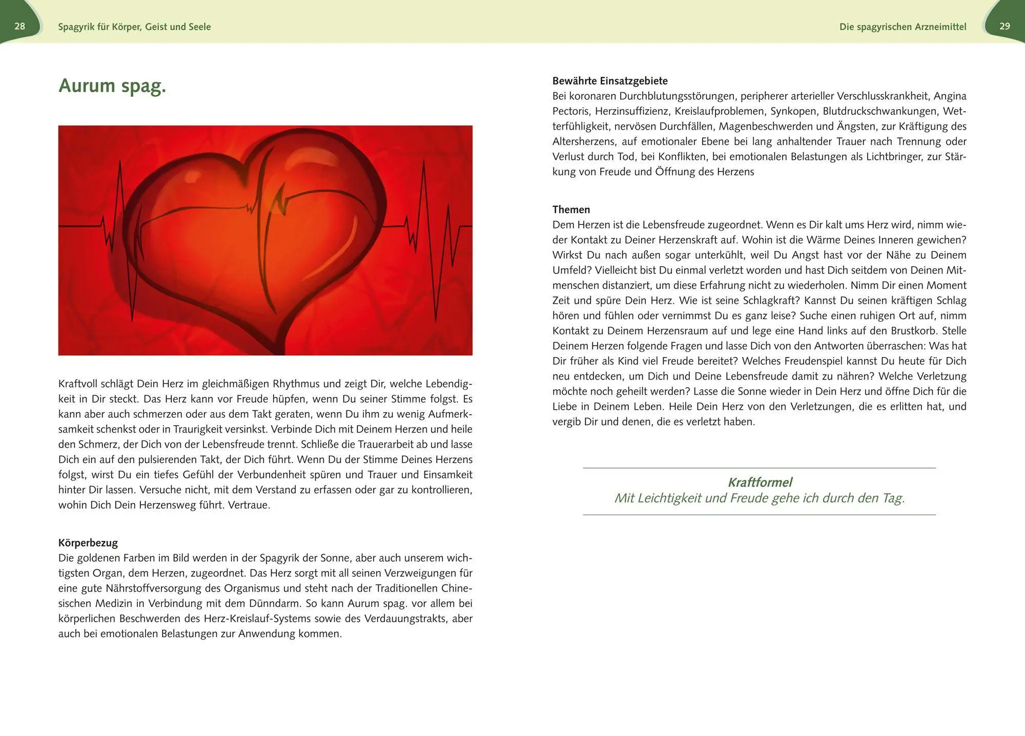 Bild: 9783964747891 | Spagyrik für Körper, Geist und Seele | Susanne Gärtner | Buch | 2025