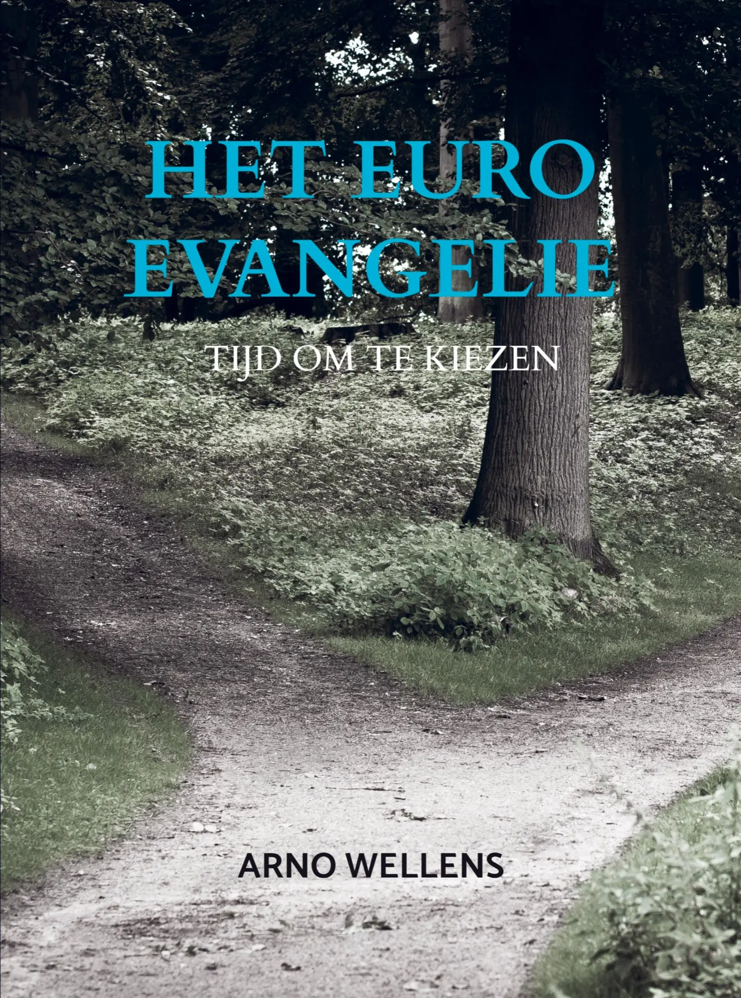Cover: 9789465017891 | Het Euro Evangelie | Tijd om te kiezen | Arno Wellens | Taschenbuch