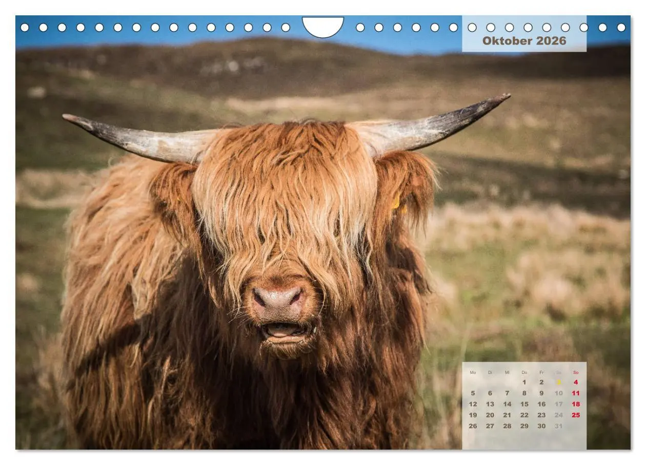 Bild: 9783457857991 | Rauhes Schottland (Wandkalender 2026 DIN A4 quer), CALVENDO...