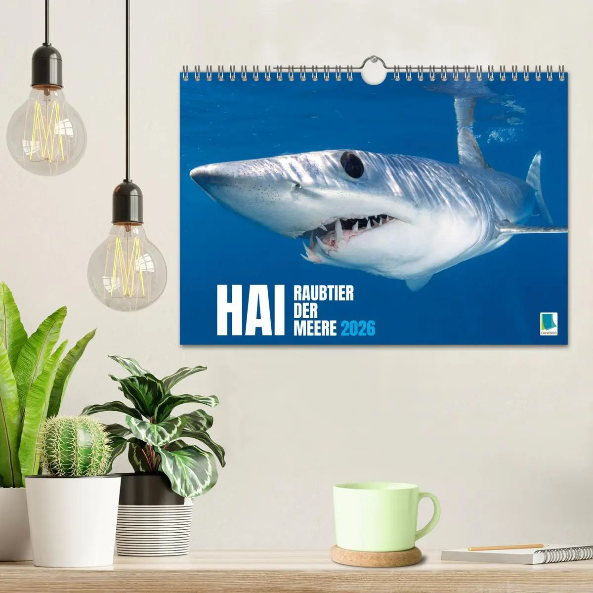 Bild: 9783516637991 | Hai: Raubtier der Meere (Wandkalender 2026 DIN A4 quer), CALVENDO...
