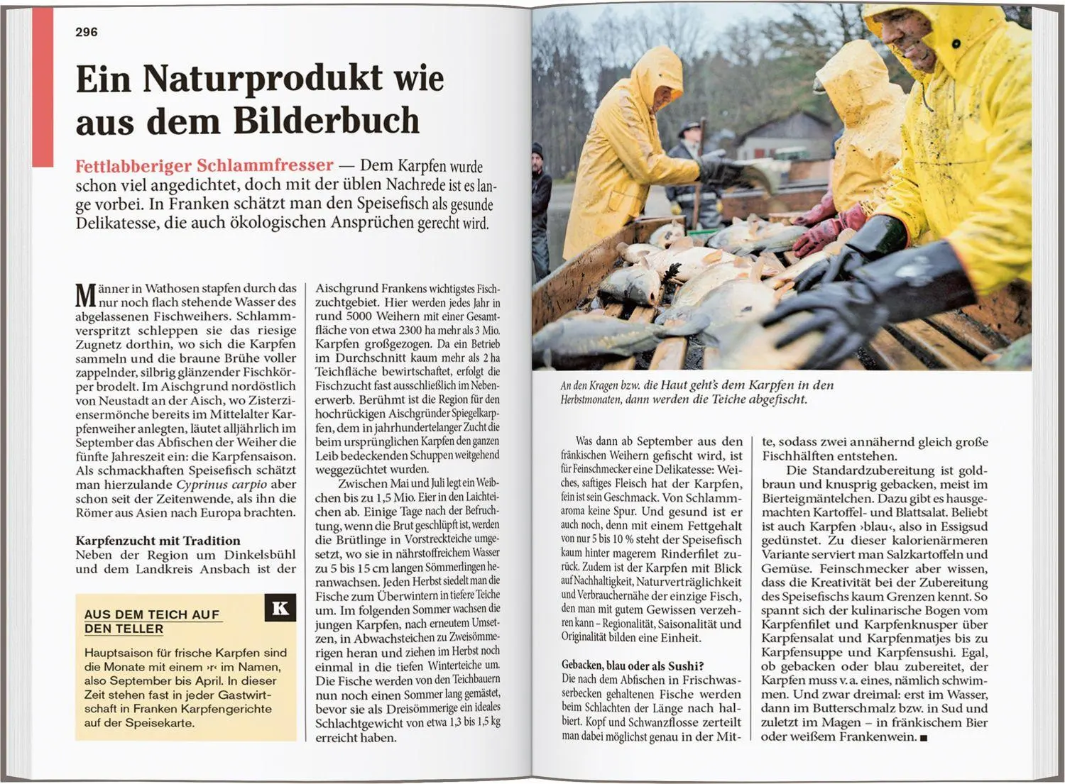 Bild: 9783616007991 | DUMONT Reise-Taschenbuch Reiseführer Franken | Roland Dusik | Buch