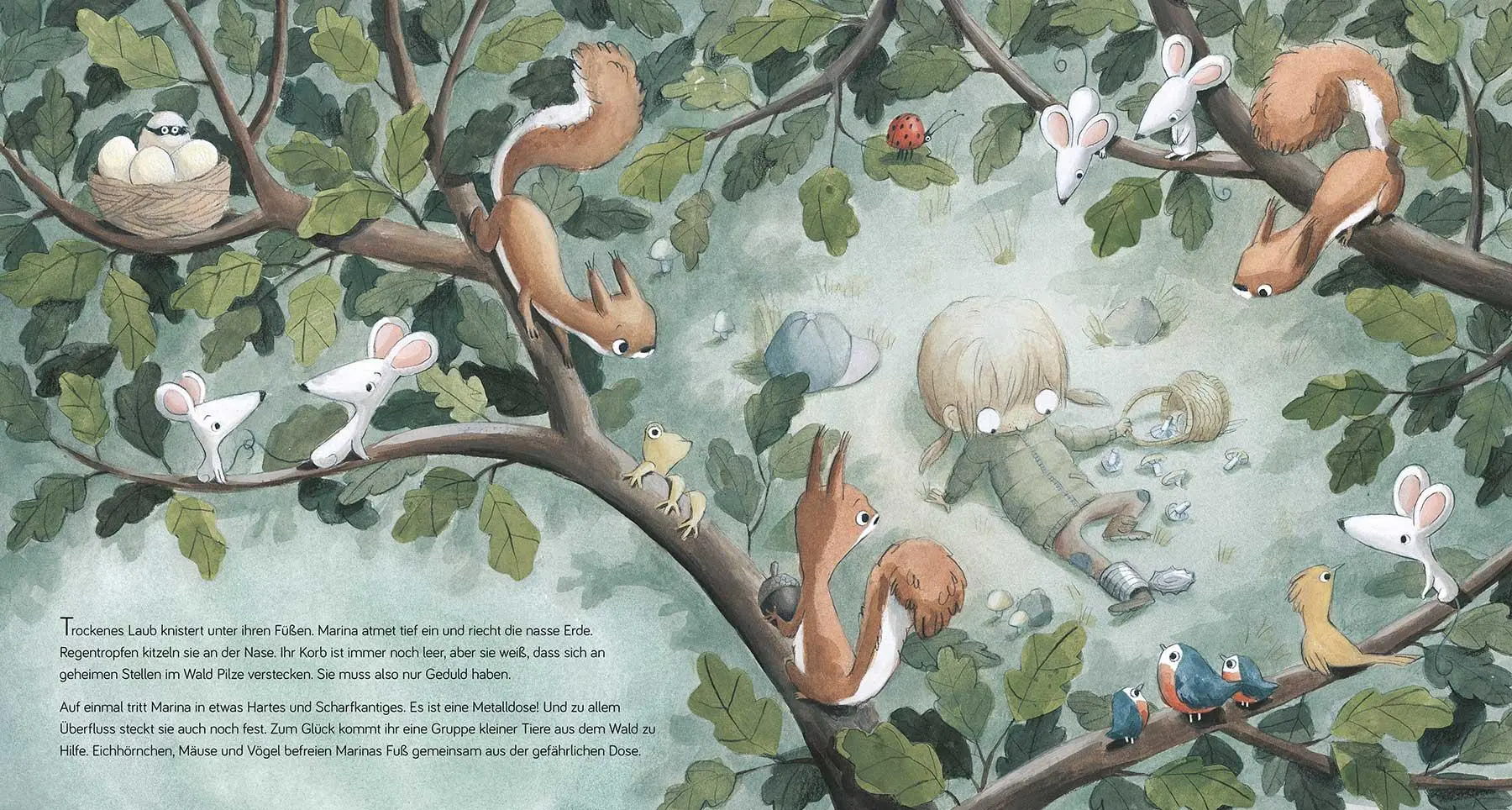 Bild: 9783833747991 | Hilfst du mir, Eichhörnchen? | Susanna Isern | Buch | 40 S. | Deutsch