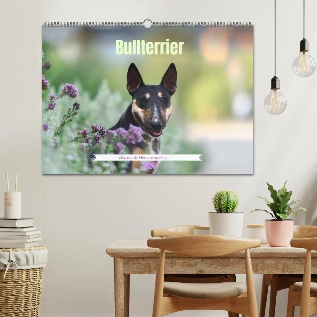 Bild: 9783516698091 | Bullterrier - charmante Herzensbrecher (Wandkalender 2026 DIN A2...