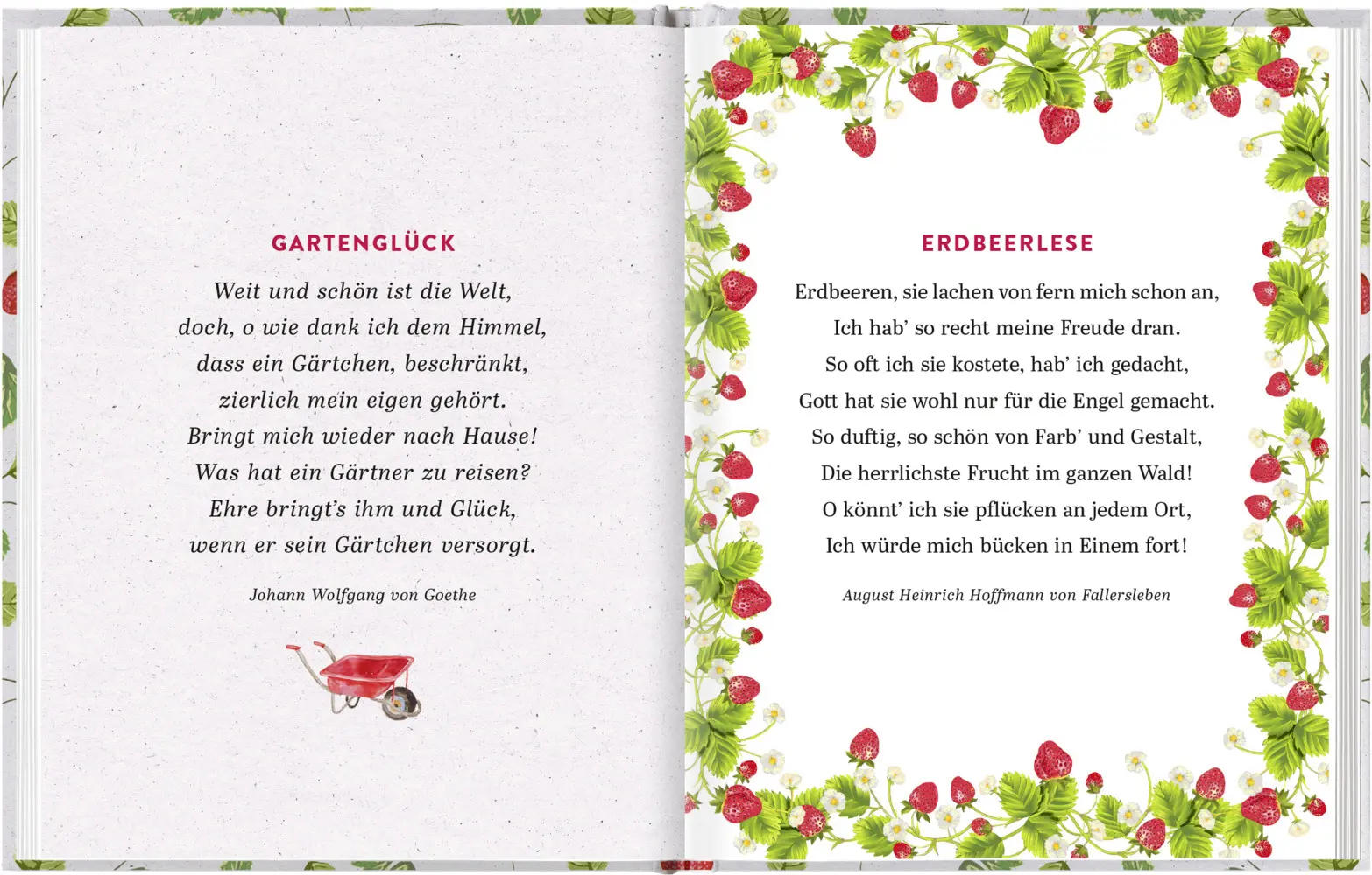 Bild: 9783629008091 | Gartenlust und Erdbeerglück | Die schönsten Sommergedanken | Verlag