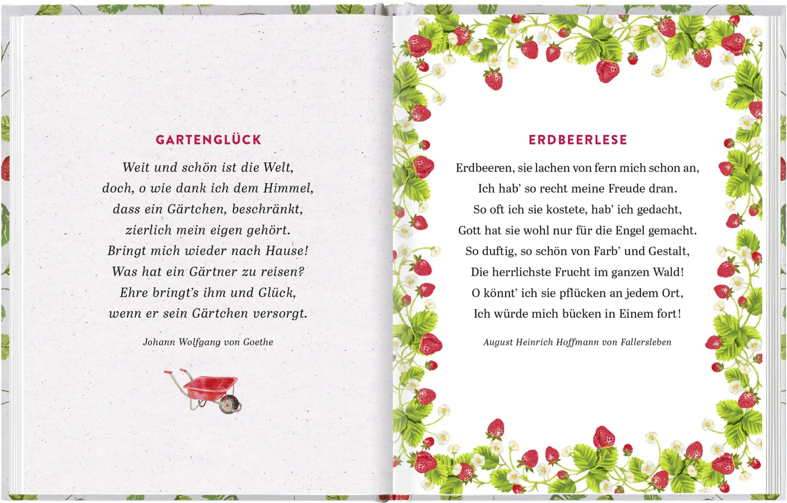 Bild: 9783629008091 | Gartenlust und Erdbeerglück | Die schönsten Sommergedanken | Verlag