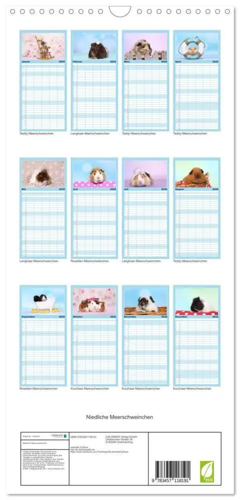 Bild: 9783457118191 | Familienplaner 2025 - Niedliche Meerschweinchen mit 5 Spalten...