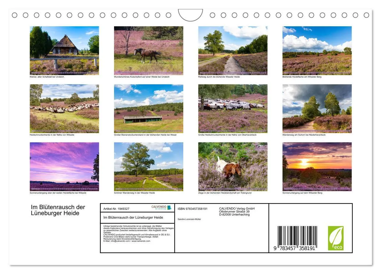 Bild: 9783457358191 | Im Blütenrausch der Lüneburger Heide (Wandkalender 2026 DIN A4...
