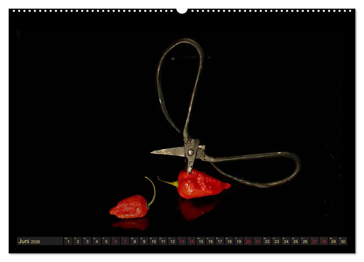 Bild: 9783457738191 | Scharfe Chili Fantasien - Creative Food Design (hochwertiger...