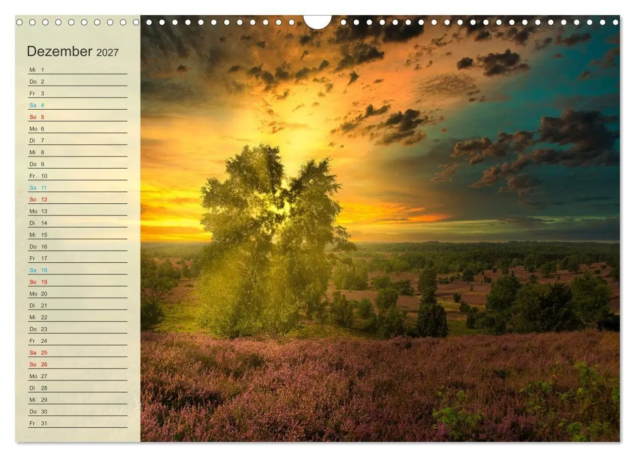 Bild: 9783569528291 | Die Heideblüte (Wandkalender 2027 DIN A3 quer), CALVENDO...