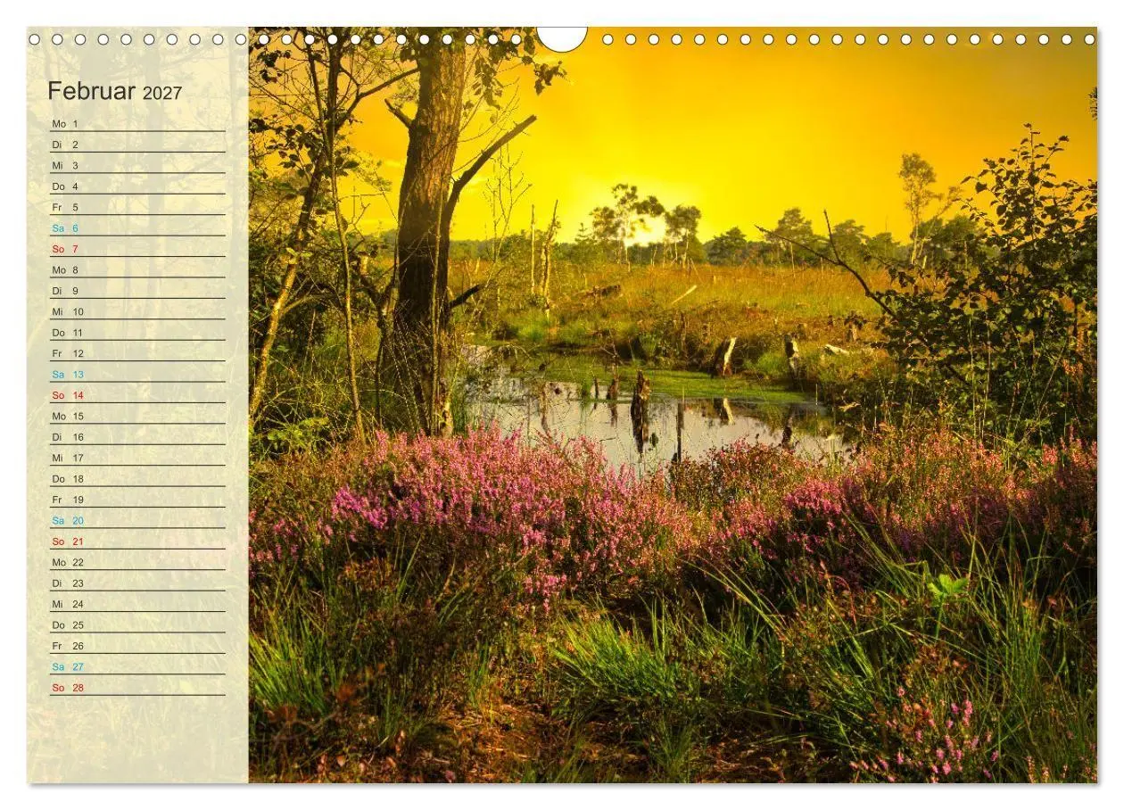 Bild: 9783569528291 | Die Heideblüte (Wandkalender 2027 DIN A3 quer), CALVENDO...