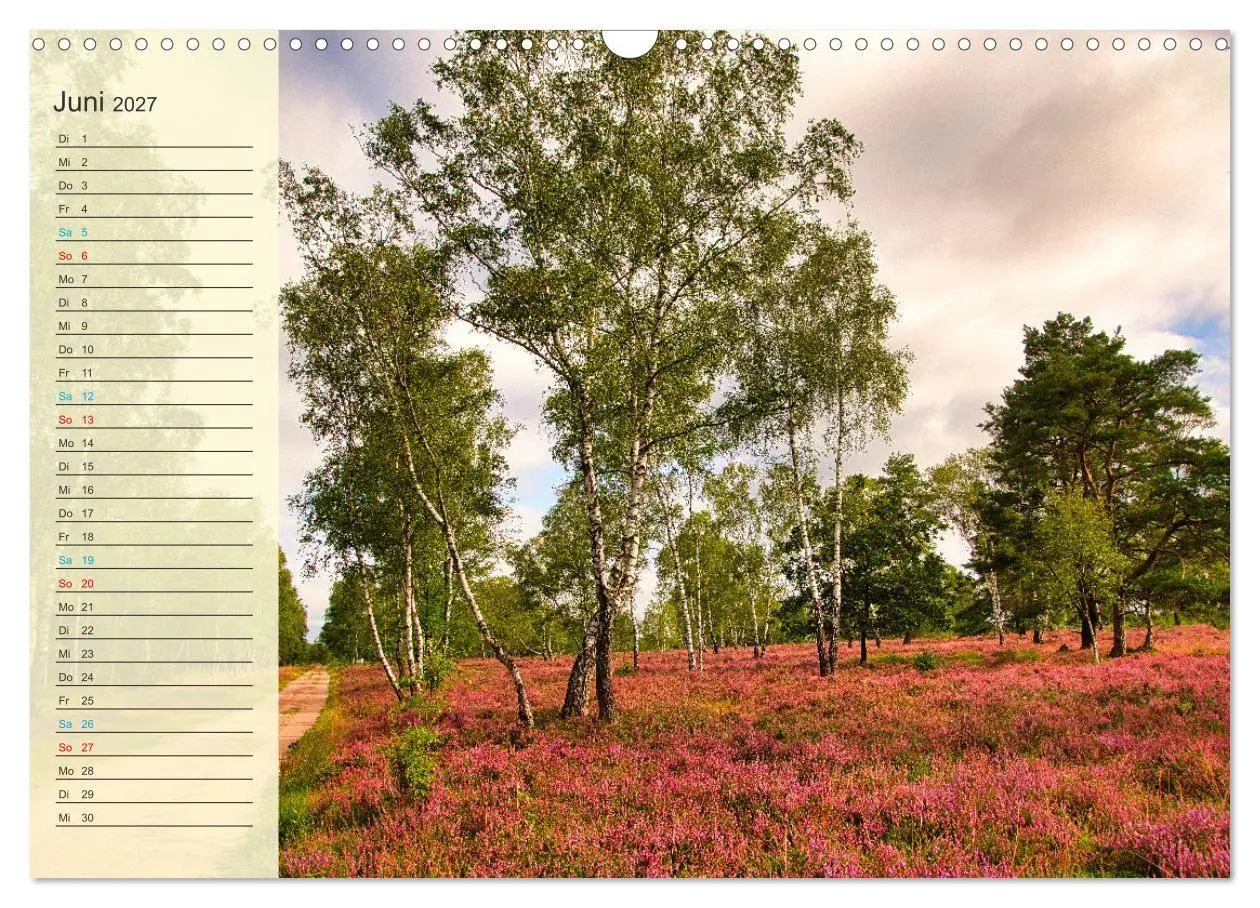 Bild: 9783569528291 | Die Heideblüte (Wandkalender 2027 DIN A3 quer), CALVENDO...