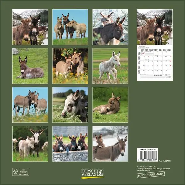 Bild: 9783731888291 | Esel 2026 | Verlag Korsch | Kalender | 13 S. | Deutsch | 2026
