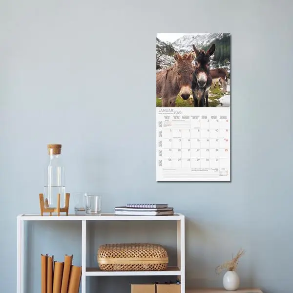 Bild: 9783731888291 | Esel 2026 | Verlag Korsch | Kalender | 13 S. | Deutsch | 2026