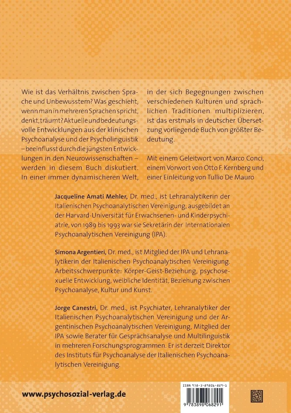 Rückseite: 9783898068291 | Das Babel des Unbewussten | Jacqueline Amati Mehler (u. a.) | Buch