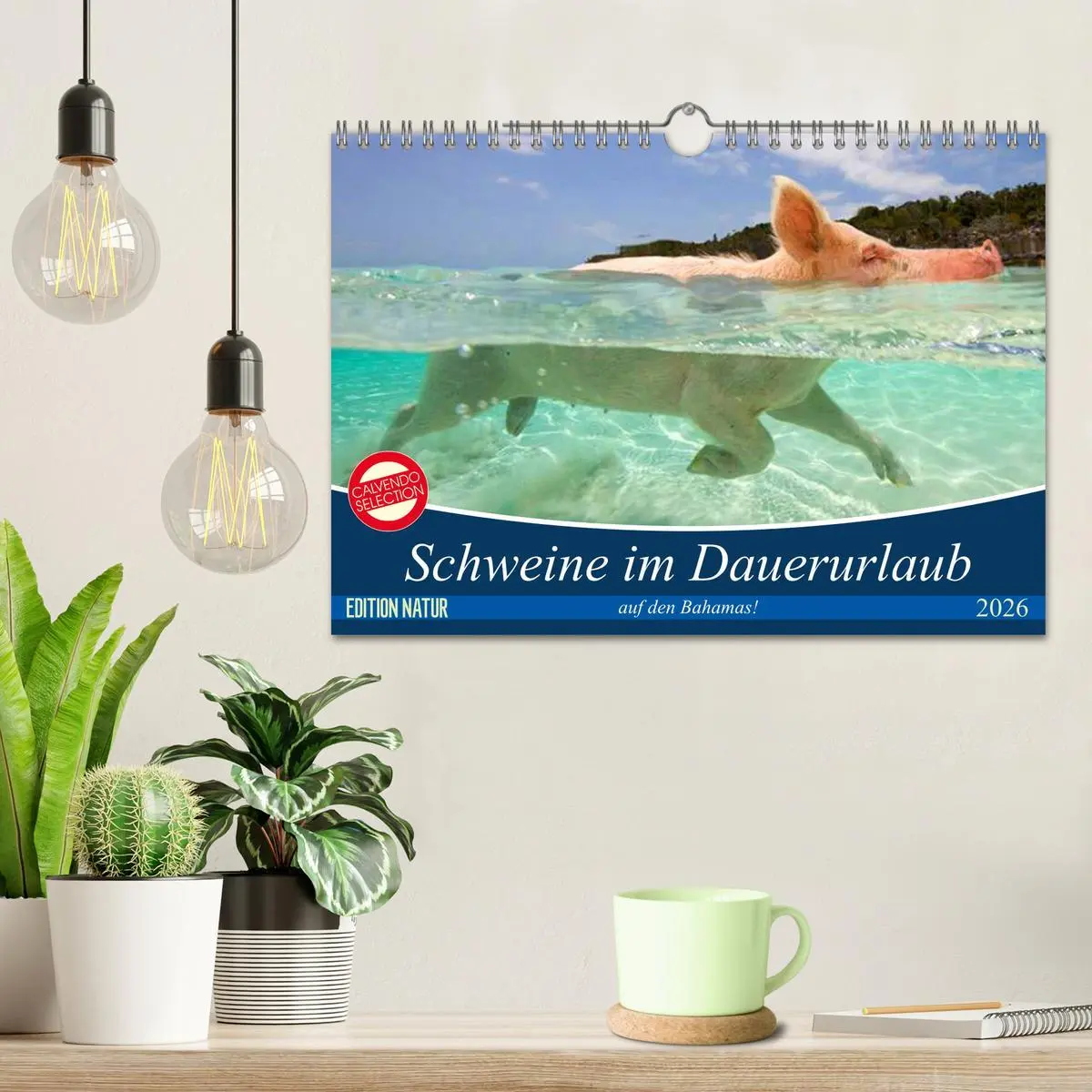 Bild: 9783457888391 | Schweine im Dauerurlaub auf den Bahamas! (Wandkalender 2026 DIN A4...