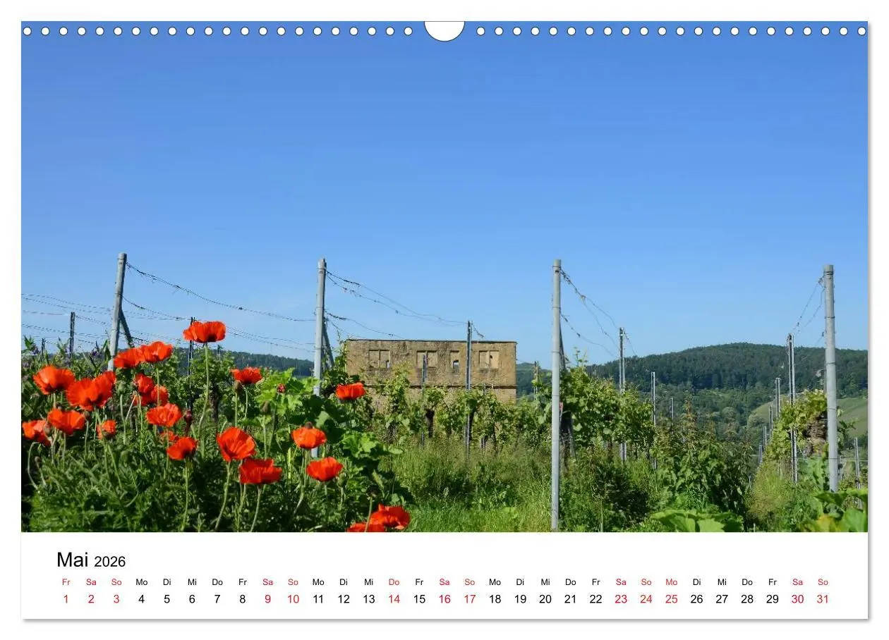 Bild: 9783516048391 | Zauberhaftes Remstal (Wandkalender 2026 DIN A3 quer), CALVENDO...