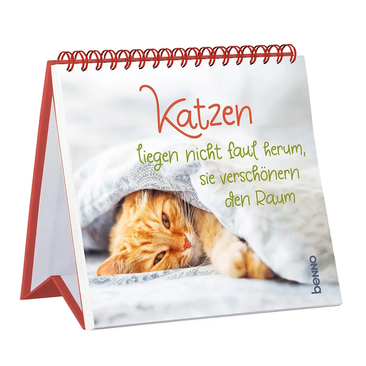 Cover: 9783746268491 | Katzen liegen nicht faul herum, sie verschönern den Raum | Taschenbuch