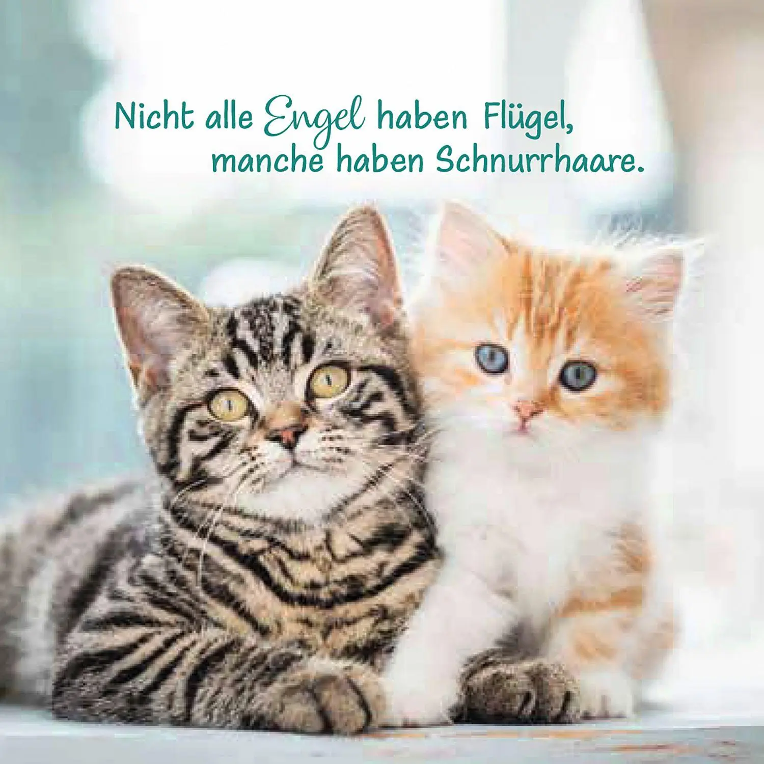 Bild: 9783746268491 | Katzen liegen nicht faul herum, sie verschönern den Raum | Taschenbuch