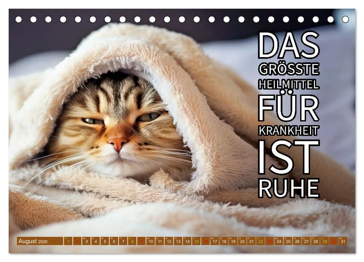 Bild: 9783457398791 | Gute Besserung - mit coolen Sprüchen (Tischkalender 2026 DIN A5...