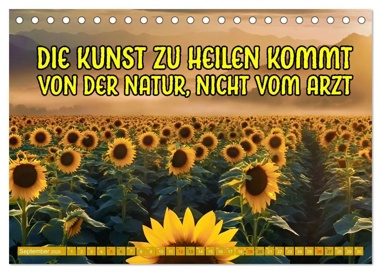 Bild: 9783457398791 | Gute Besserung - mit coolen Sprüchen (Tischkalender 2026 DIN A5...