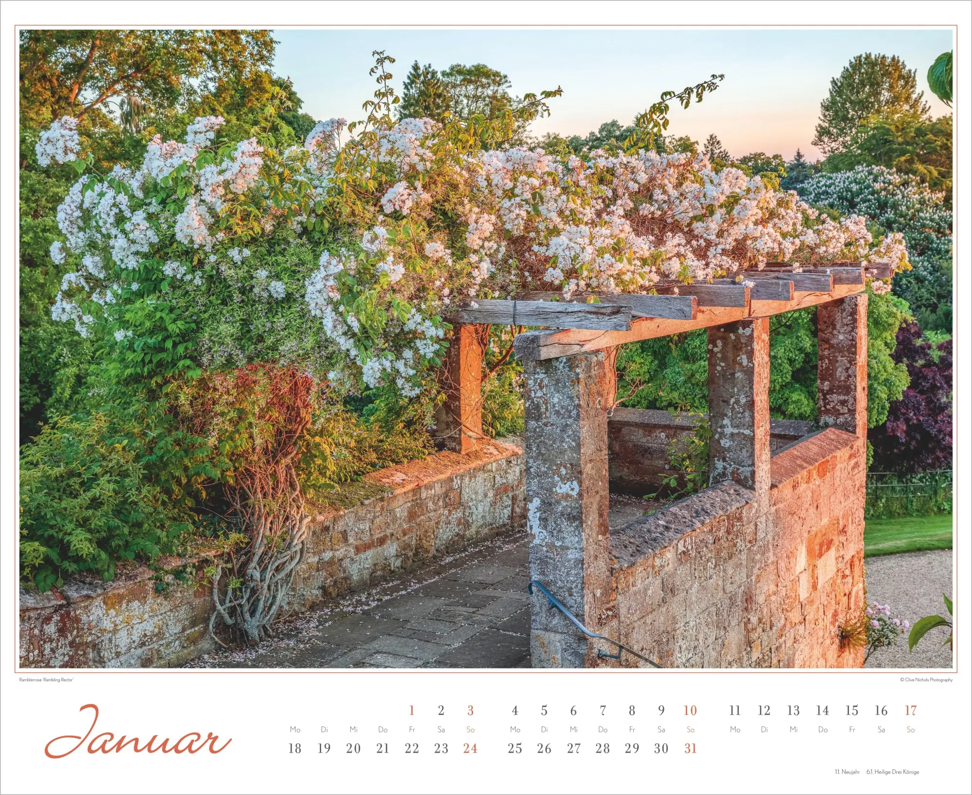 Bild: 4069095018891 | Im Rosengarten 2027 | Neumann Verlage GmbH &amp; Co KG | Kalender | 14 S.
