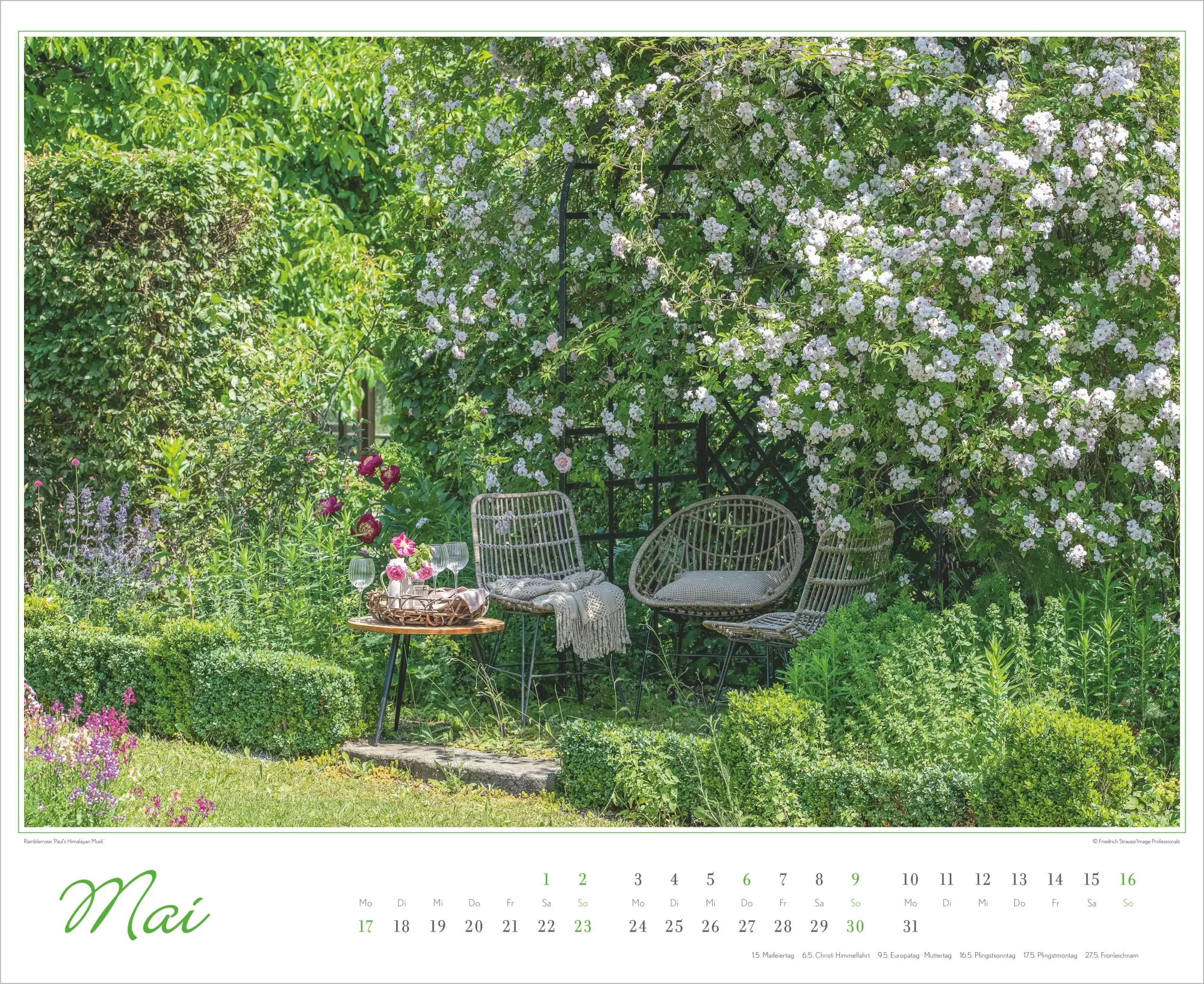 Bild: 4069095018891 | Im Rosengarten 2027 | Neumann Verlage GmbH &amp; Co KG | Kalender | 14 S.