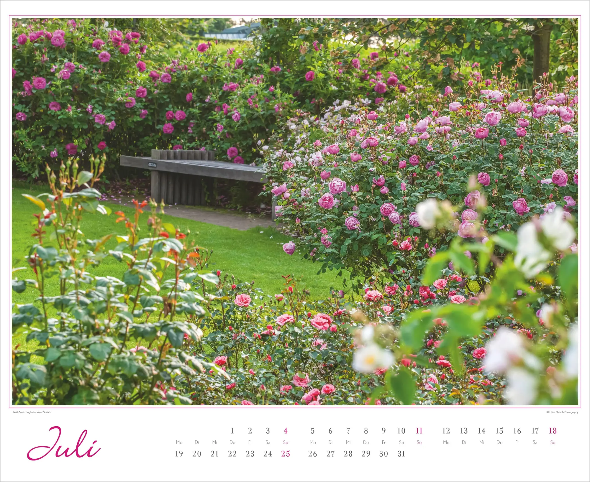 Bild: 4069095018891 | Im Rosengarten 2027 | Neumann Verlage GmbH &amp; Co KG | Kalender | 14 S.