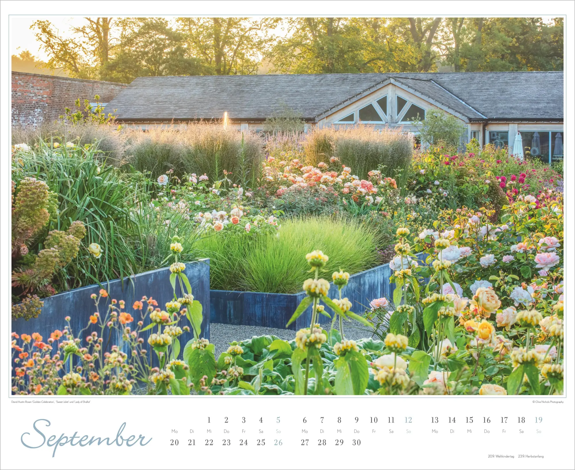 Bild: 4069095018891 | Im Rosengarten 2027 | Neumann Verlage GmbH &amp; Co KG | Kalender | 14 S.