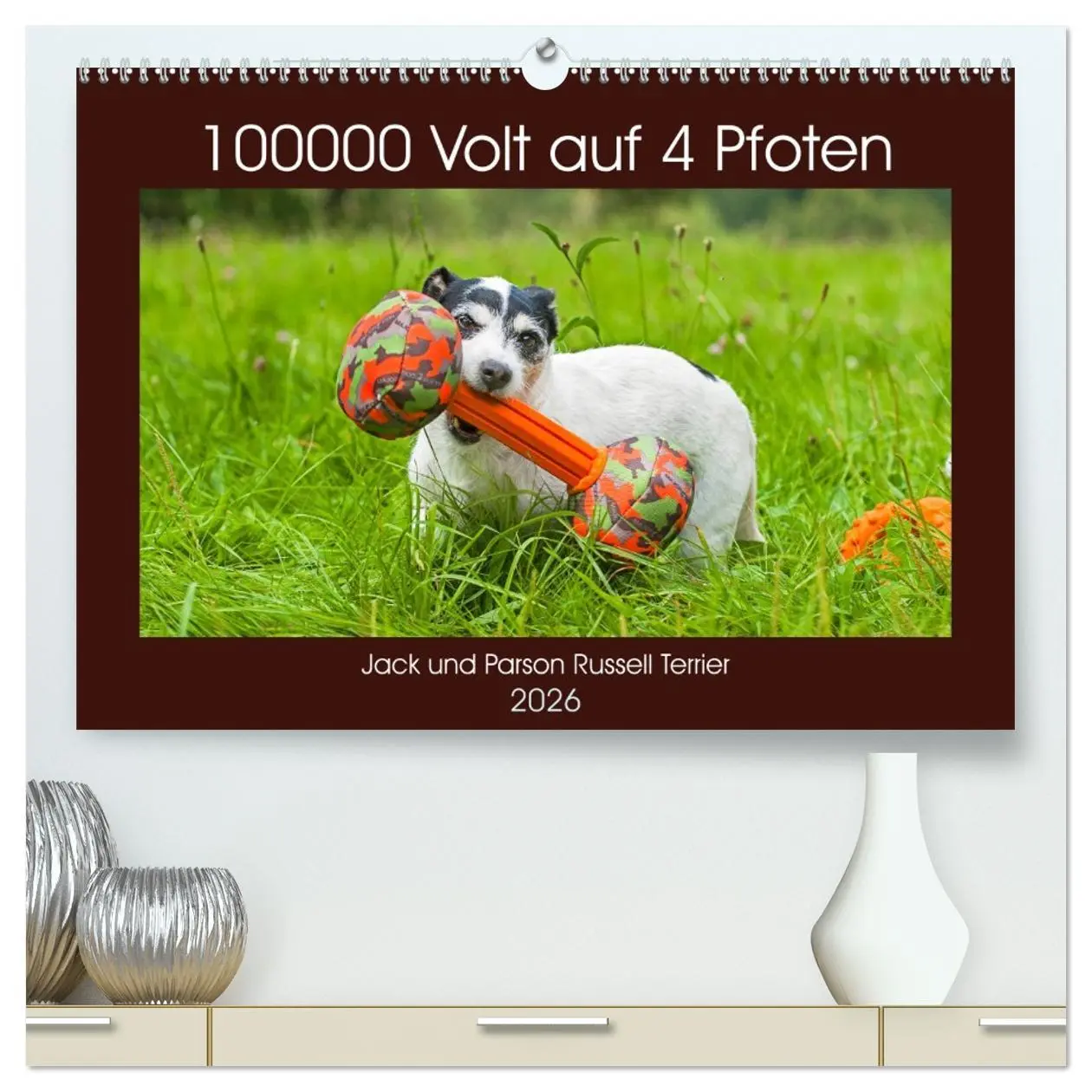 Cover: 9783457698891 | 100000 Volt auf vier Pfoten - Jack und Parson Russell Terrier...