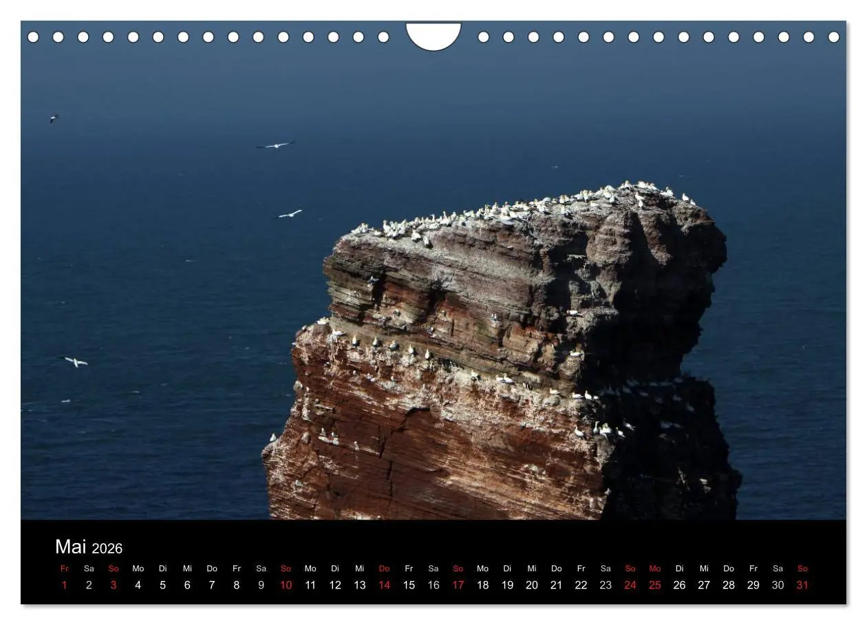 Bild: 9783516168891 | Helgoland (Wandkalender 2026 DIN A4 quer), CALVENDO Monatskalender