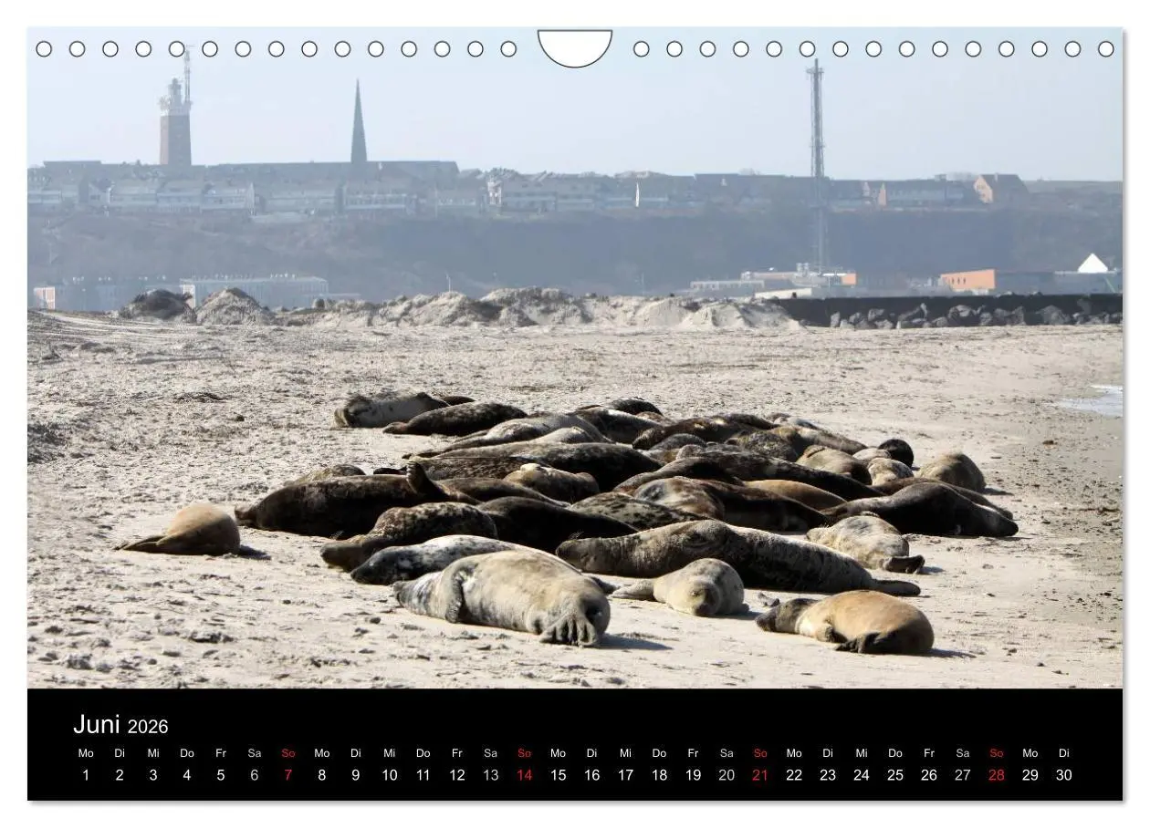 Bild: 9783516168891 | Helgoland (Wandkalender 2026 DIN A4 quer), CALVENDO Monatskalender