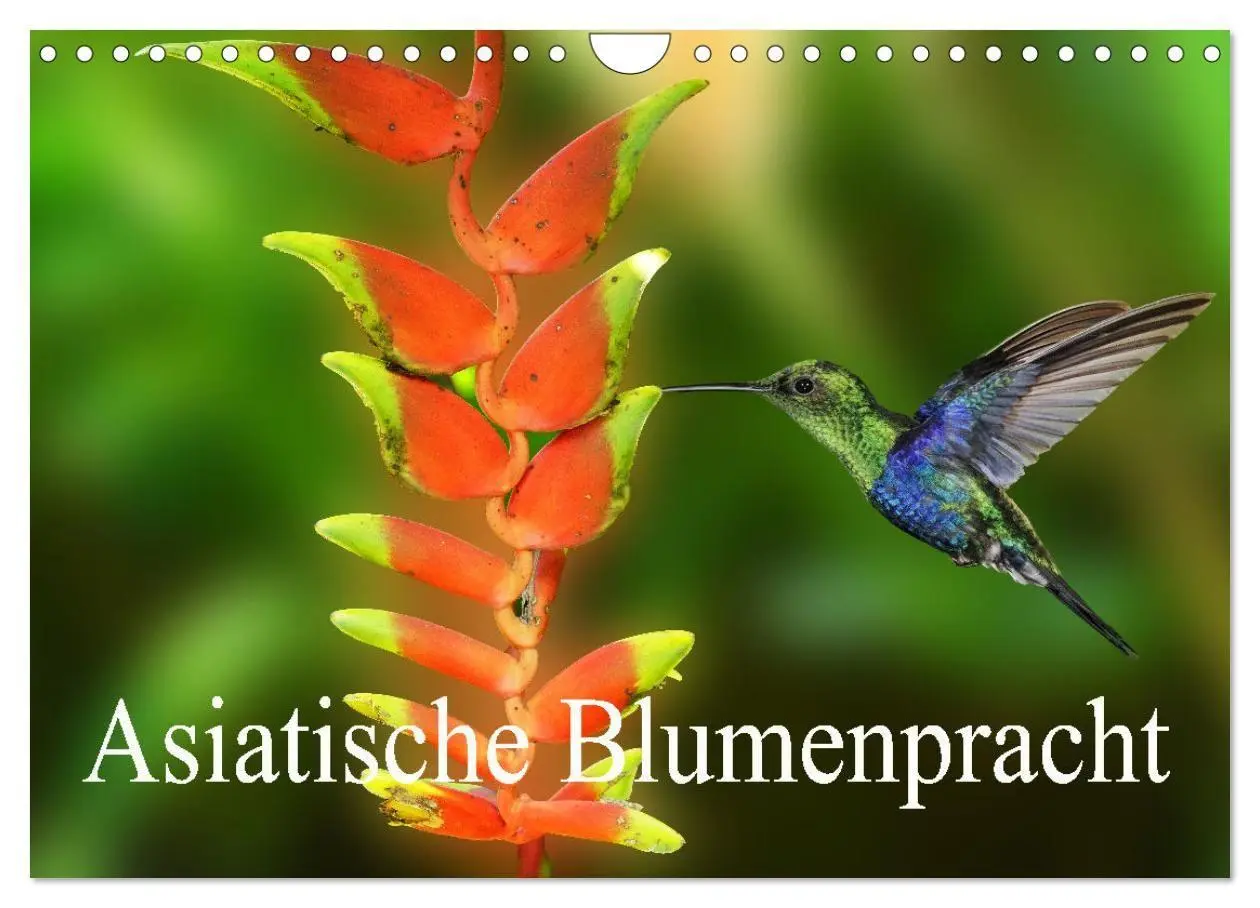 Cover: 9783569498891 | Asiatische Blumenpracht (Wandkalender 2027 DIN A4 quer), CALVENDO...