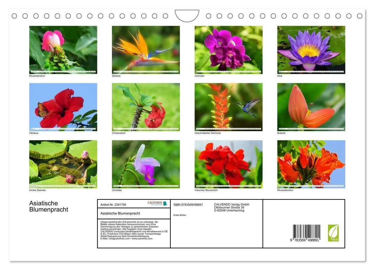 Bild: 9783569498891 | Asiatische Blumenpracht (Wandkalender 2027 DIN A4 quer), CALVENDO...