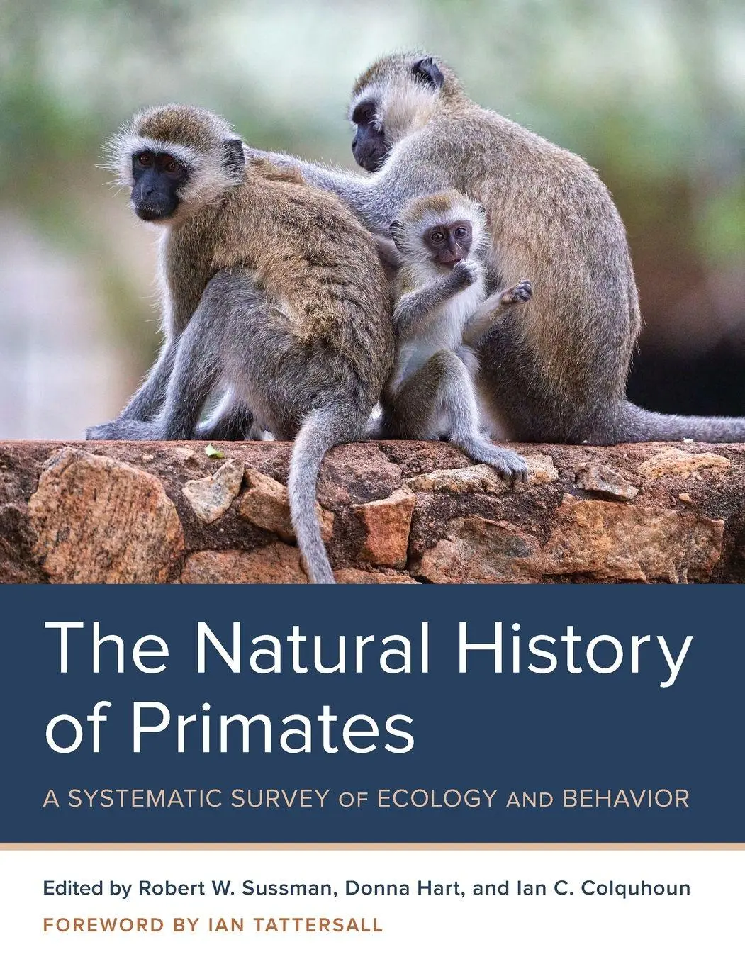 Cover: 9781442248991 | Natural History of Primates | Robert W. Sussman (u. a.) | Taschenbuch