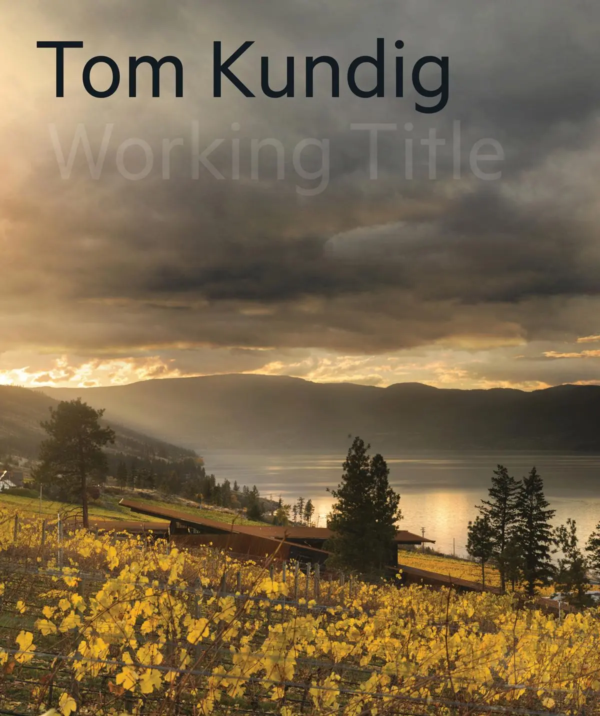 Cover: 9781616898991 | Tom Kundig | [Working Title] | Tom Kundig | Buch | Gebunden | Englisch