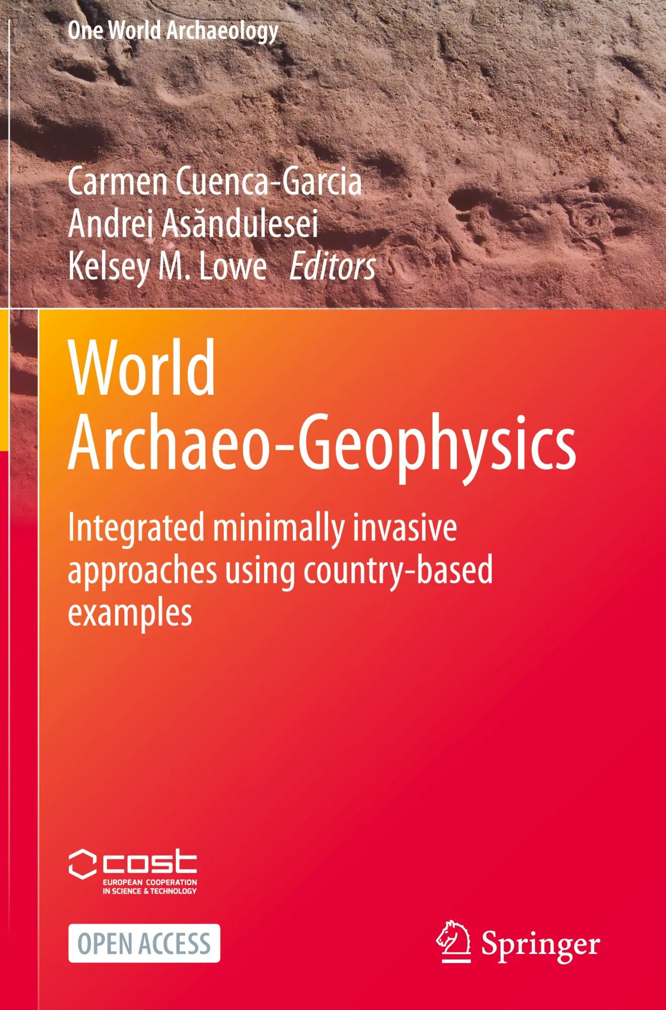 Cover: 9783031578991 | World Archaeo-Geophysics | Carmen Cuenca-Garcia (u. a.) | Buch | 2024
