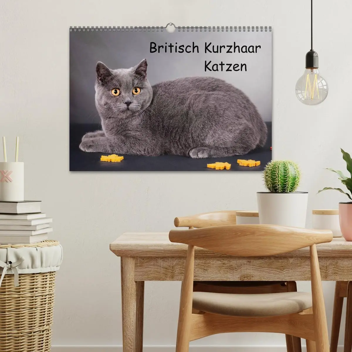 Bild: 9783516228991 | Britisch Kurzhaar Katzen (Wandkalender 2026 DIN A3 quer), CALVENDO...
