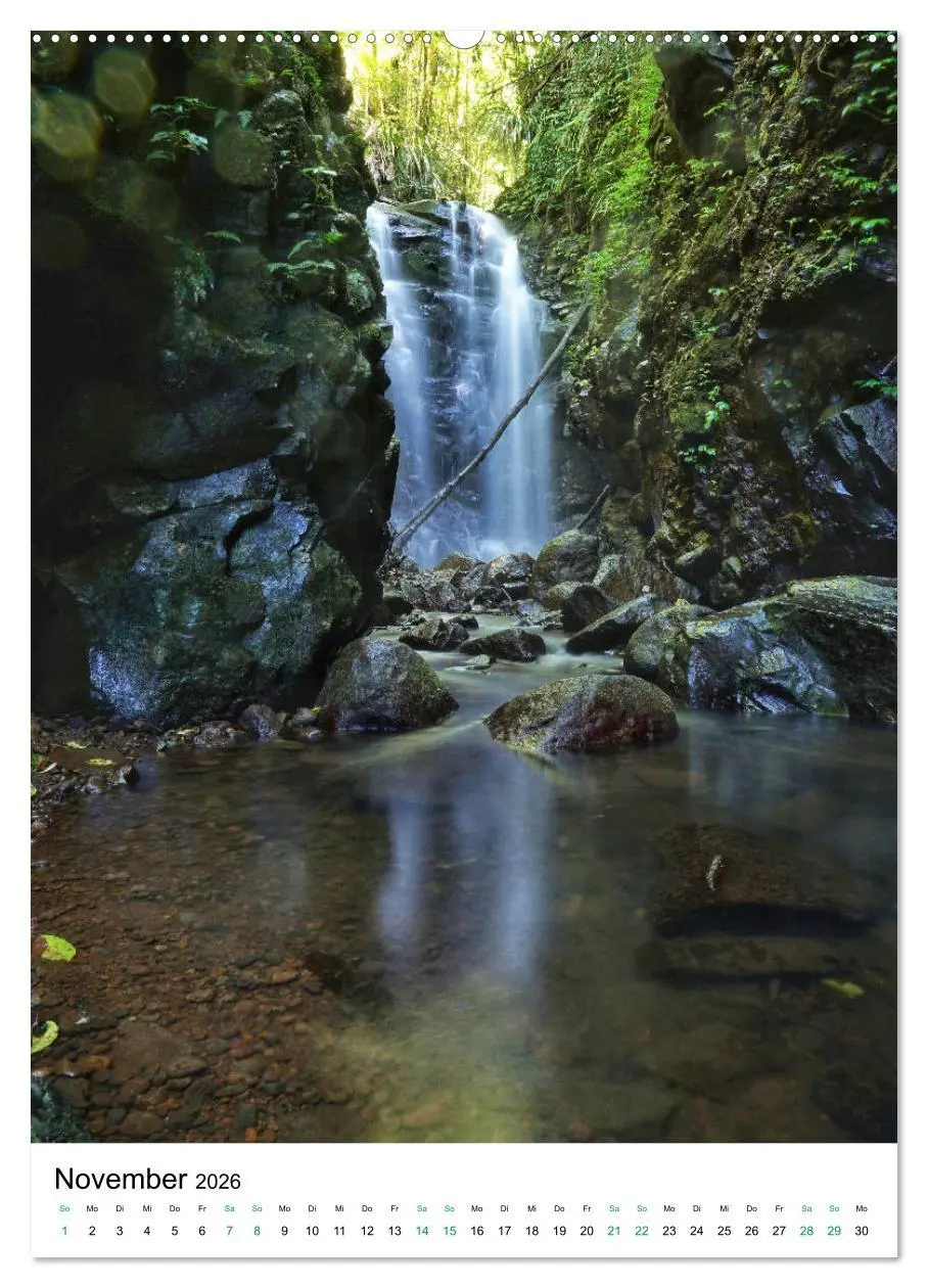 Bild: 9783516398991 | Regenwald - Australien (Wandkalender 2026 DIN A2 hoch), CALVENDO...