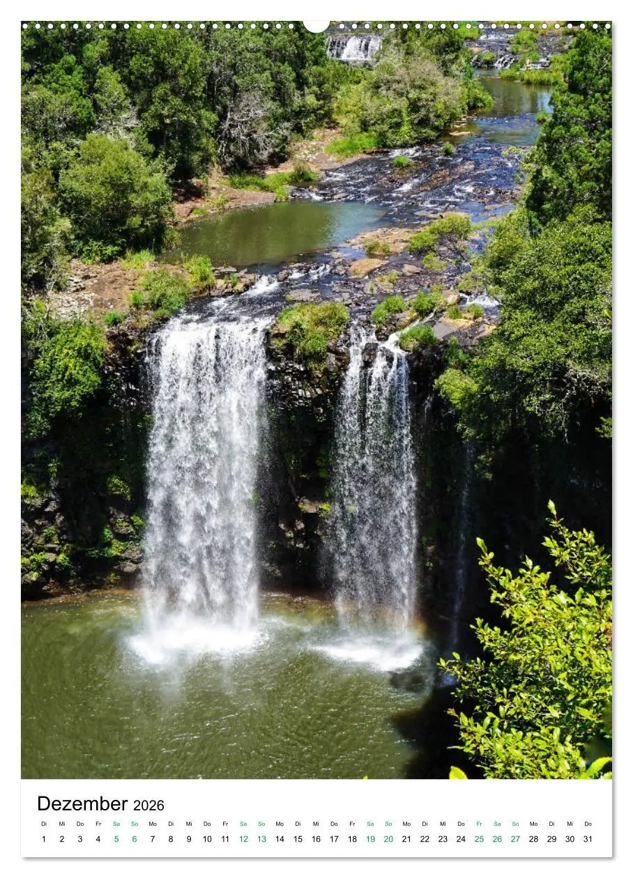 Bild: 9783516398991 | Regenwald - Australien (Wandkalender 2026 DIN A2 hoch), CALVENDO...