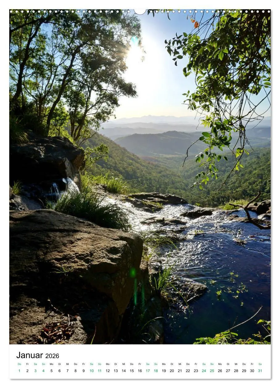 Bild: 9783516398991 | Regenwald - Australien (Wandkalender 2026 DIN A2 hoch), CALVENDO...