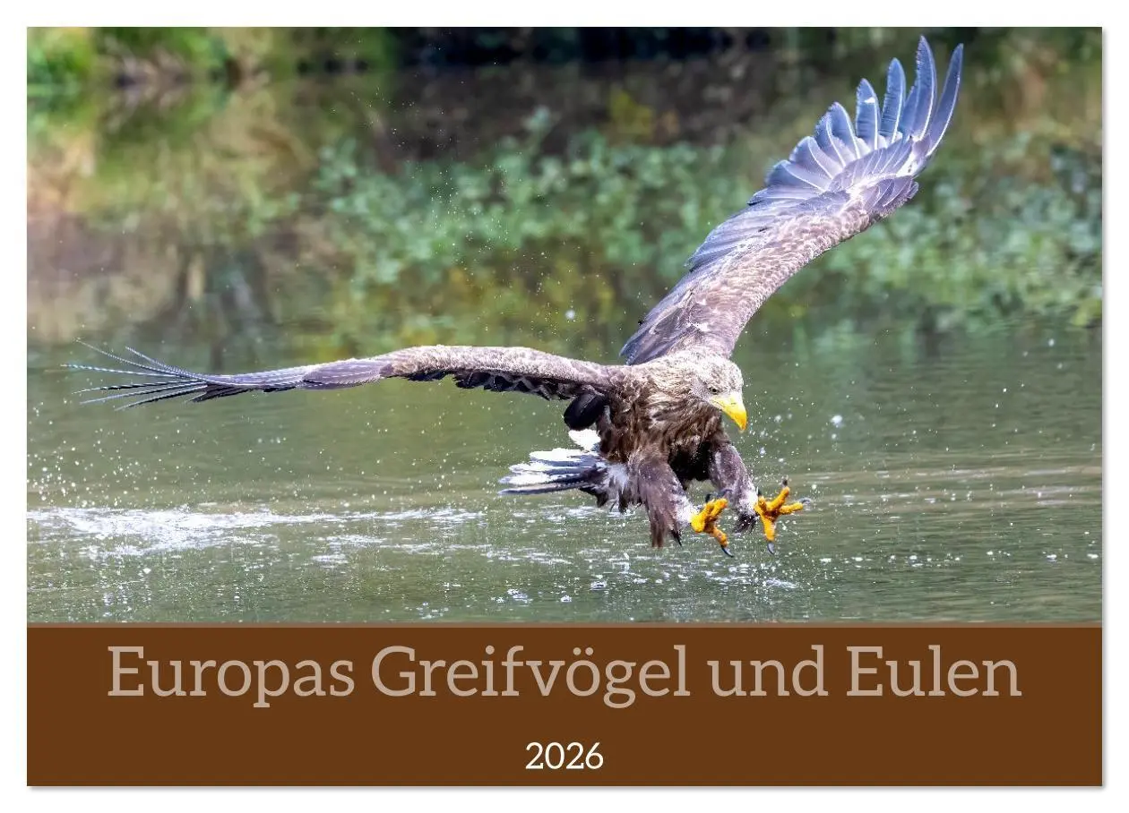 Cover: 9783516608991 | Europas Greifvögel und Eulen (Wandkalender 2026 DIN A3 quer),...