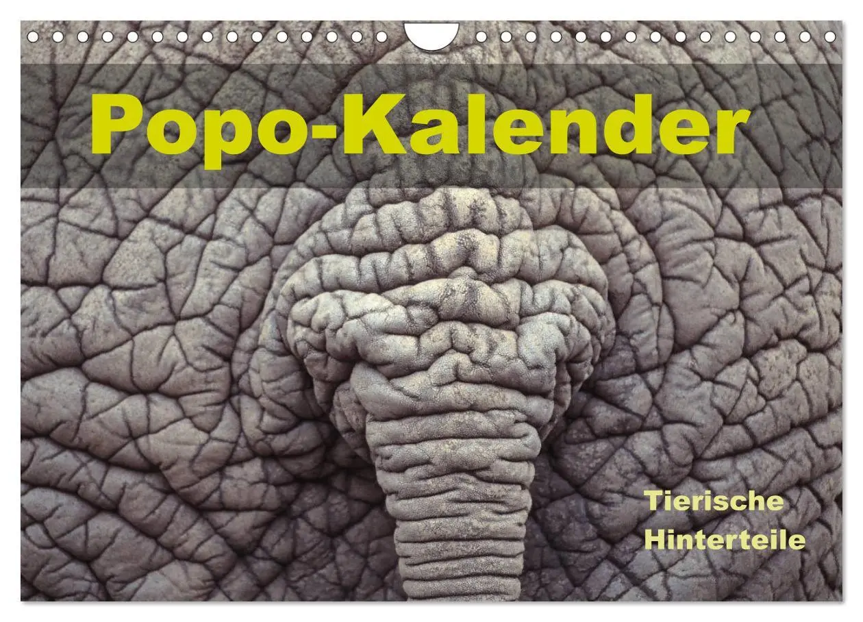 Cover: 9783457719091 | Popo-Kalender (Wandkalender 2026 DIN A4 quer), CALVENDO Monatskalender