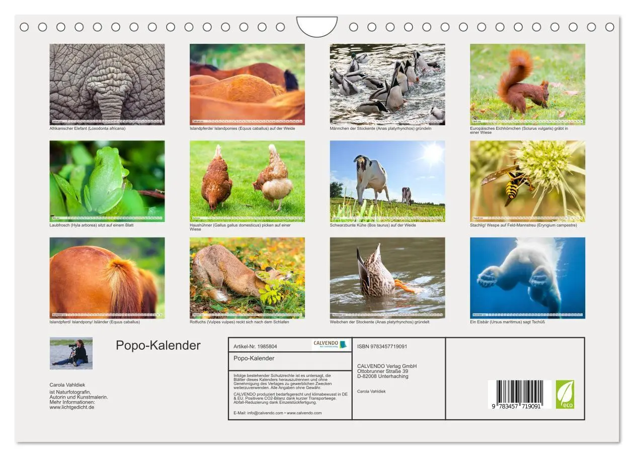Bild: 9783457719091 | Popo-Kalender (Wandkalender 2026 DIN A4 quer), CALVENDO Monatskalender