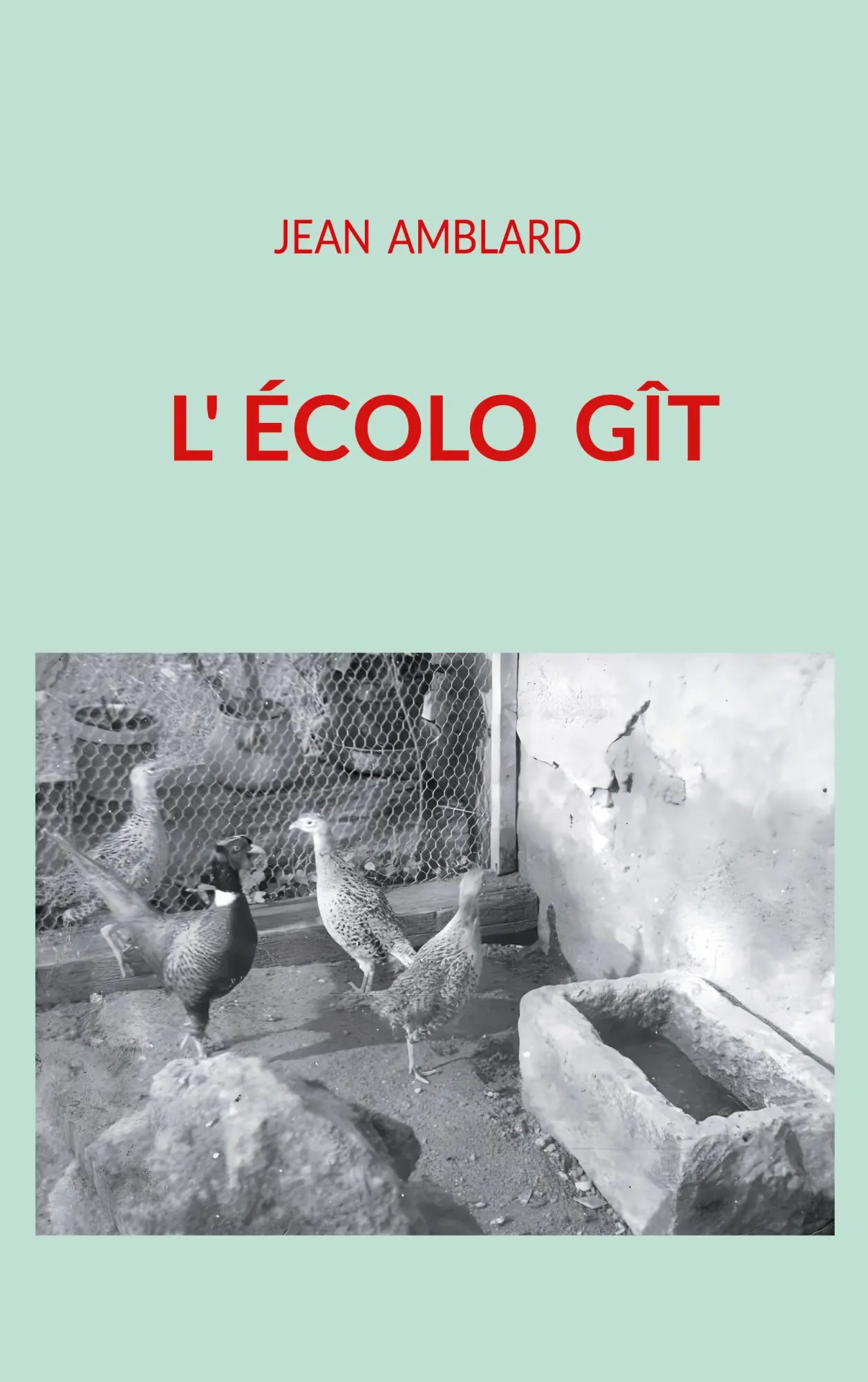 Cover: 9782322619191 | Ecolo Git | Jean Amblard | Taschenbuch | Französisch | 2026