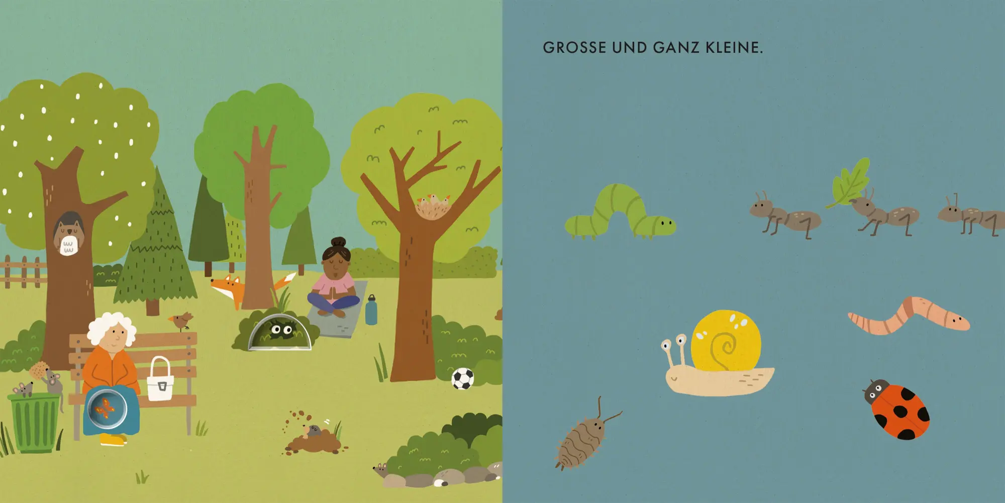 Bild: 9783407759191 | Entdecke Tiere in der Stadt | Katrin Wiehle | Buch | 16 S. | Deutsch