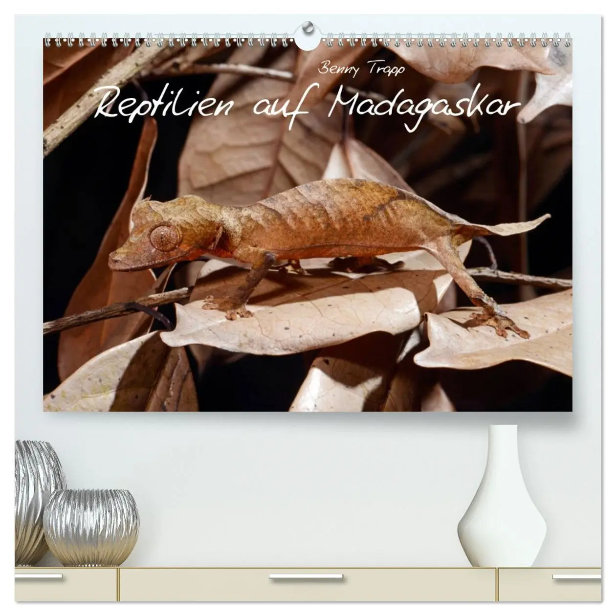 Cover: 9783457709191 | Reptilien auf Madagaskar (hochwertiger Premium Wandkalender 2026...