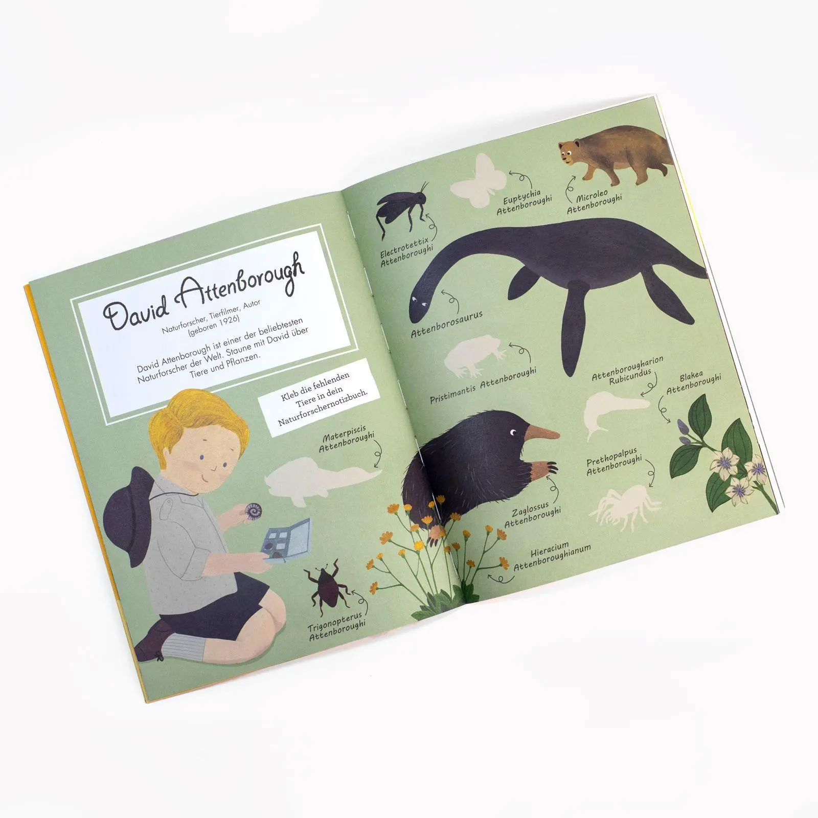 Bild: 9783458179191 | Little People, Big Dreams: Sticker-Mitmach-Buch | Vegara | Taschenbuch
