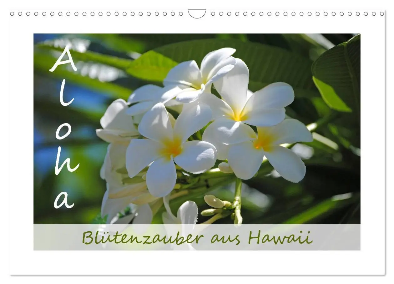 Cover: 9783516039191 | Aloha Blütenzauber aus Hawaii (Wandkalender 2026 DIN A3 quer),...